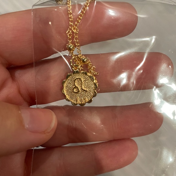 Zodiac sign coin pendant necklace - Picture 12 of 12